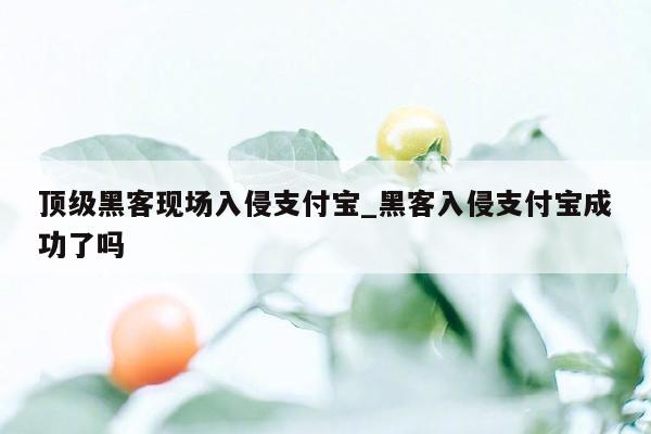 顶级黑客现场入侵支付宝_黑客入侵支付宝成功了吗