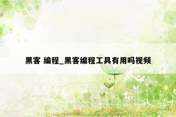 黑客 编程_黑客编程工具有用吗视频
