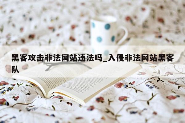 黑客攻击非法网站违法吗_入侵非法网站黑客队