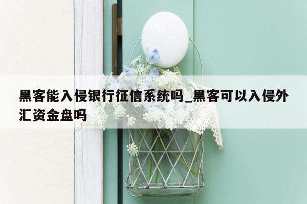 黑客能入侵银行征信系统吗_黑客可以入侵外汇资金盘吗