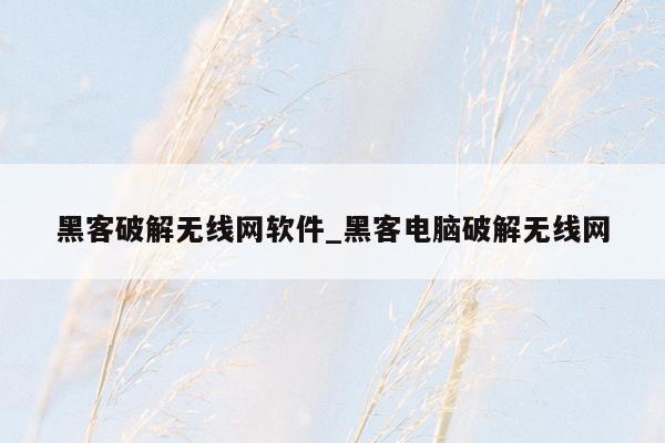黑客破解无线网软件_黑客电脑破解无线网
