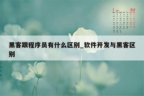 黑客跟程序员有什么区别_软件开发与黑客区别