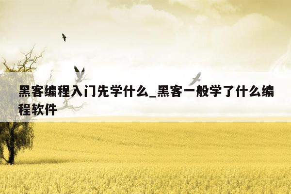 黑客编程入门先学什么_黑客一般学了什么编程软件