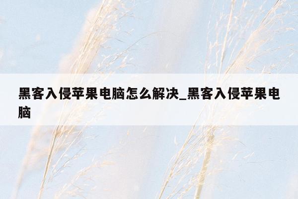 黑客入侵苹果电脑怎么解决_黑客入侵苹果电脑