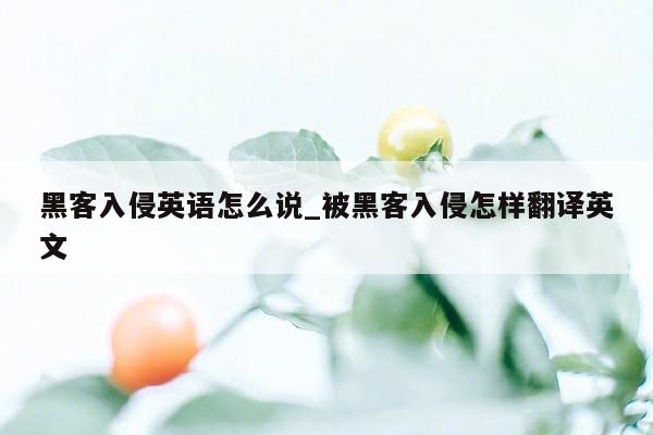黑客入侵英语怎么说_被黑客入侵怎样翻译英文