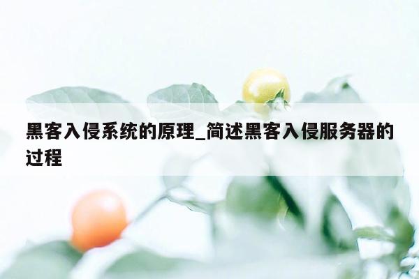 黑客入侵系统的原理_简述黑客入侵服务器的过程