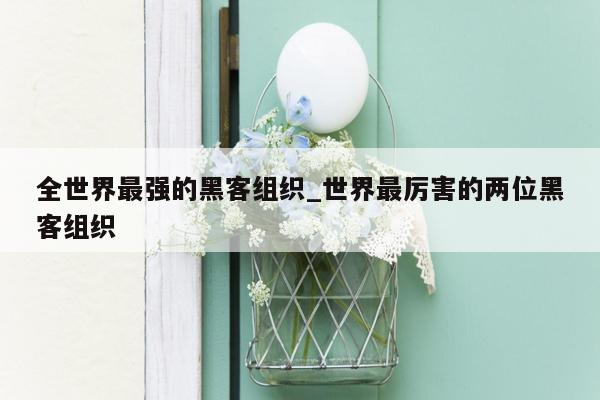 全世界最强的黑客组织_世界最厉害的两位黑客组织