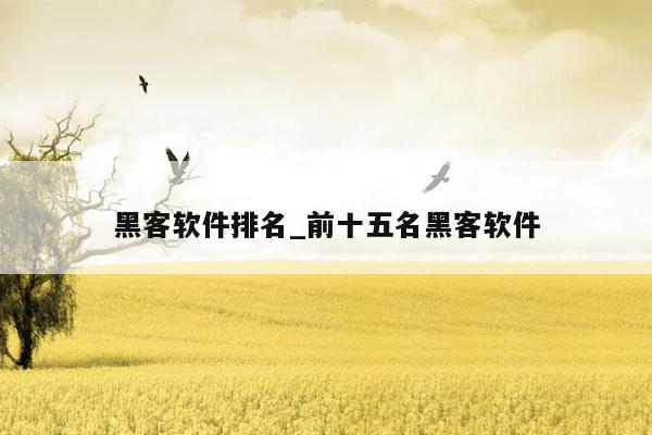 黑客软件排名_前十五名黑客软件