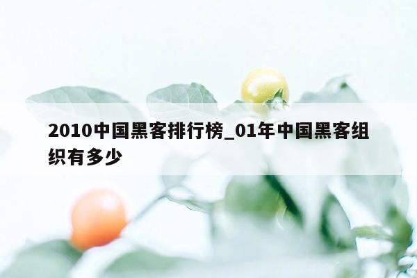 2010中国黑客排行榜_01年中国黑客组织有多少