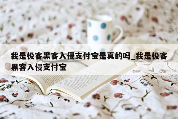 我是极客黑客入侵支付宝是真的吗_我是极客黑客入侵支付宝