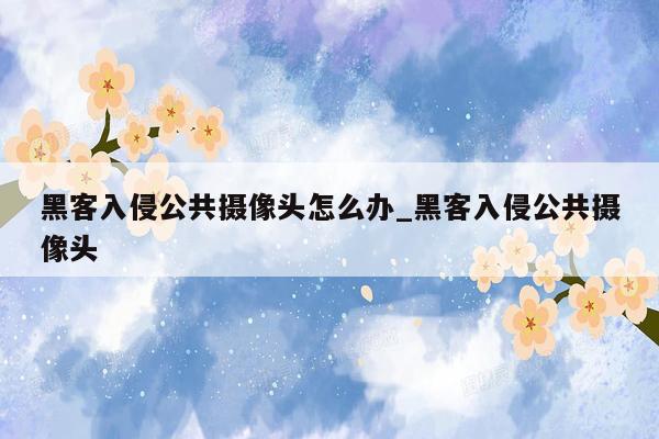 黑客入侵公共摄像头怎么办_黑客入侵公共摄像头