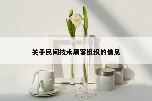 关于民间技术黑客组织的信息