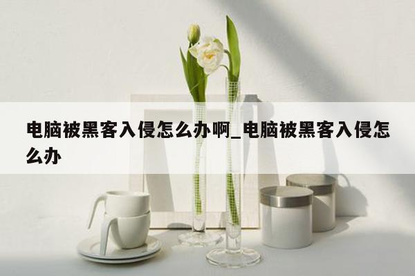 电脑被黑客入侵怎么办啊_电脑被黑客入侵怎么办
