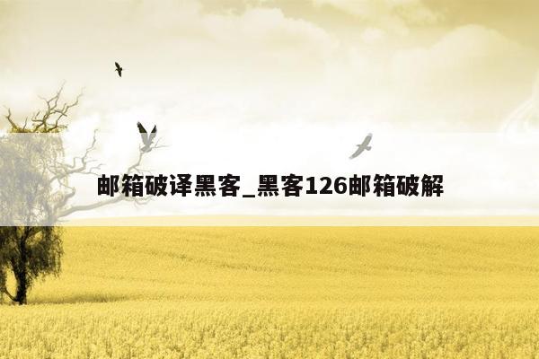 邮箱破译黑客_黑客126邮箱破解