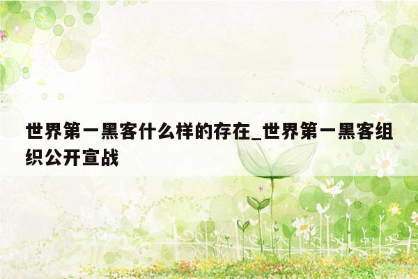 世界第一黑客什么样的存在_世界第一黑客组织公开宣战