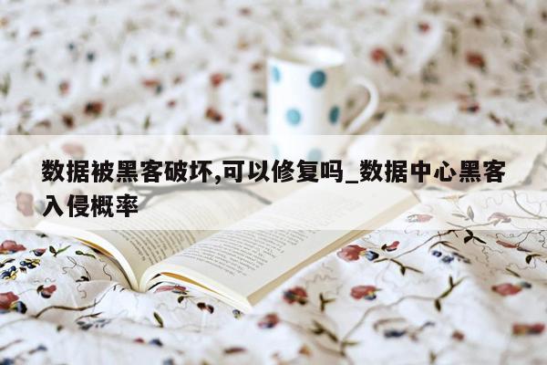数据被黑客破坏,可以修复吗_数据中心黑客入侵概率
