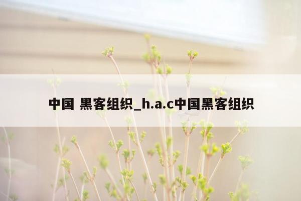 中国 黑客组织_h.a.c中国黑客组织