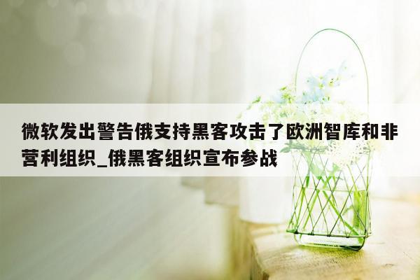 微软发出警告俄支持黑客攻击了欧洲智库和非营利组织_俄黑客组织宣布参战