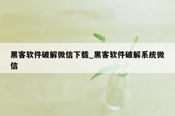 黑客软件破解微信下载_黑客软件破解系统微信
