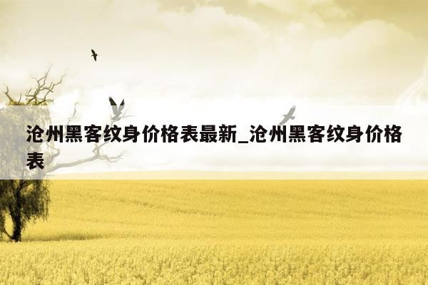 沧州黑客纹身价格表最新_沧州黑客纹身价格表
