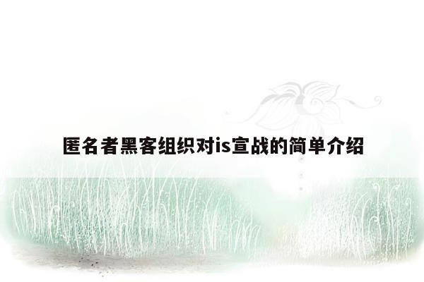匿名者黑客组织对is宣战的简单介绍