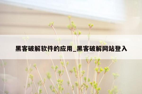 黑客破解软件的应用_黑客破解网站登入