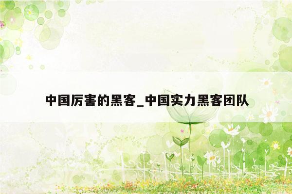 中国厉害的黑客_中国实力黑客团队