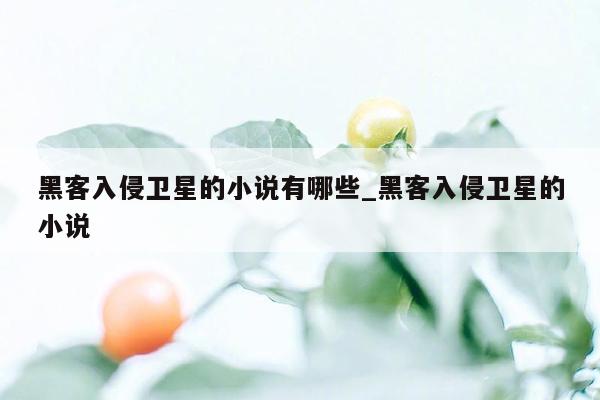 黑客入侵卫星的小说有哪些_黑客入侵卫星的小说