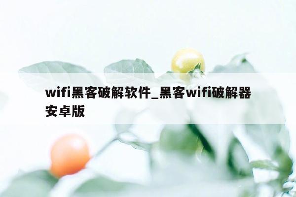 wifi黑客破解软件_黑客wifi破解器安卓版