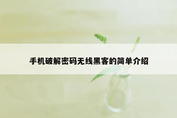 手机破解密码无线黑客的简单介绍