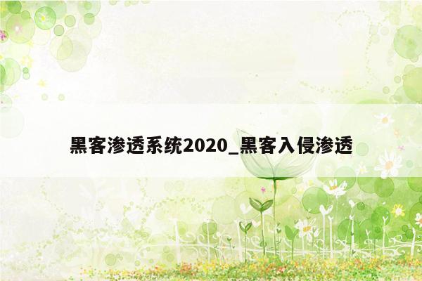 黑客渗透系统2020_黑客入侵渗透