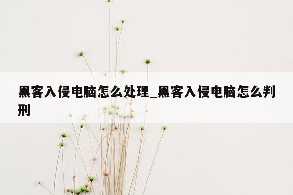 黑客入侵电脑怎么处理_黑客入侵电脑怎么判刑