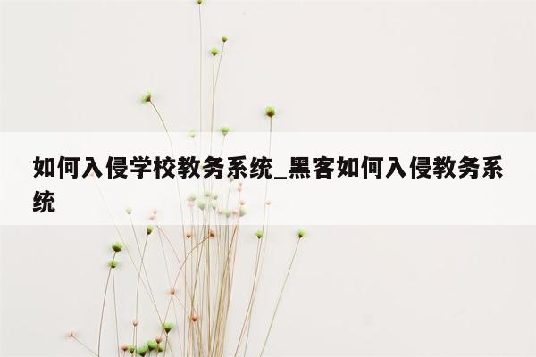 如何入侵学校教务系统_黑客如何入侵教务系统