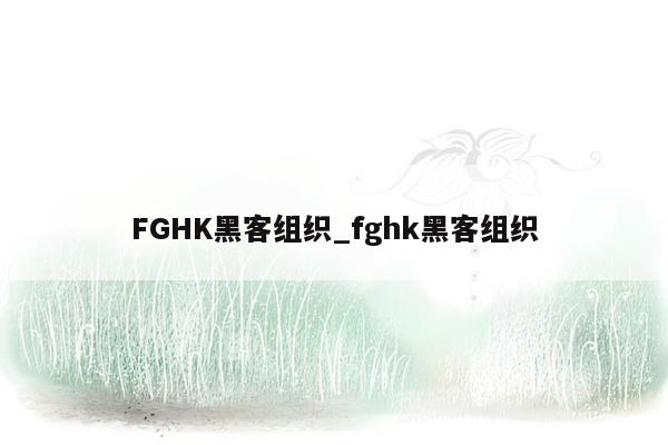 FGHK黑客组织_fghk黑客组织