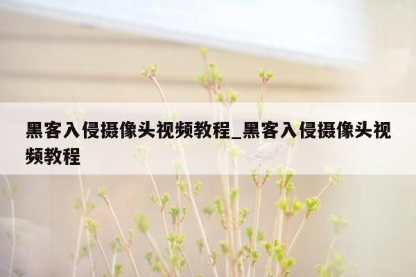 黑客入侵摄像头视频教程_黑客入侵摄像头视频教程