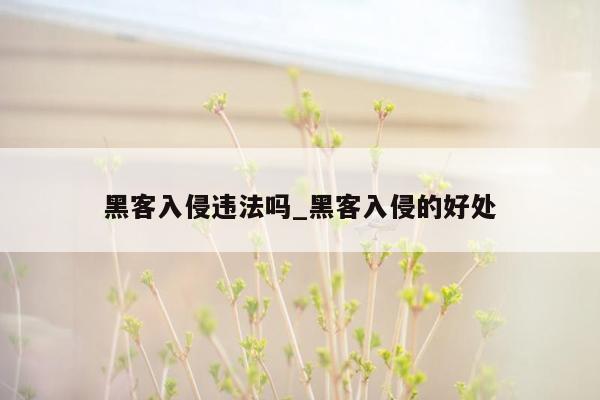 黑客入侵违法吗_黑客入侵的好处
