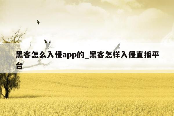 黑客怎么入侵app的_黑客怎样入侵直播平台