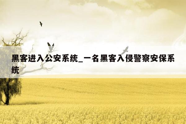 黑客进入公安系统_一名黑客入侵警察安保系统