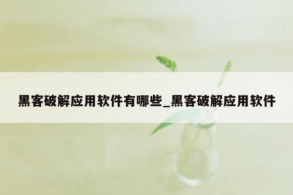 黑客破解应用软件有哪些_黑客破解应用软件