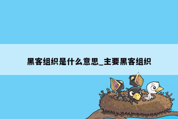黑客组织是什么意思_主要黑客组织