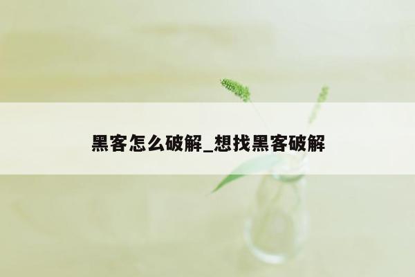 黑客怎么破解_想找黑客破解