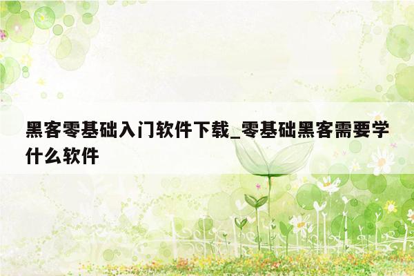 黑客零基础入门软件下载_零基础黑客需要学什么软件