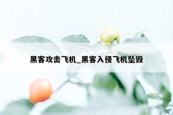 黑客攻击飞机_黑客入侵飞机坠毁