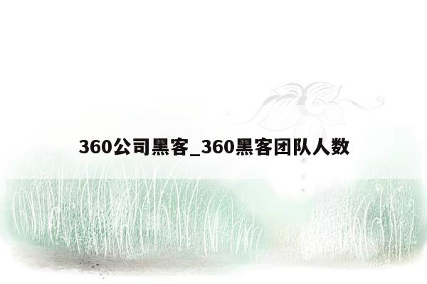 360公司黑客_360黑客团队人数