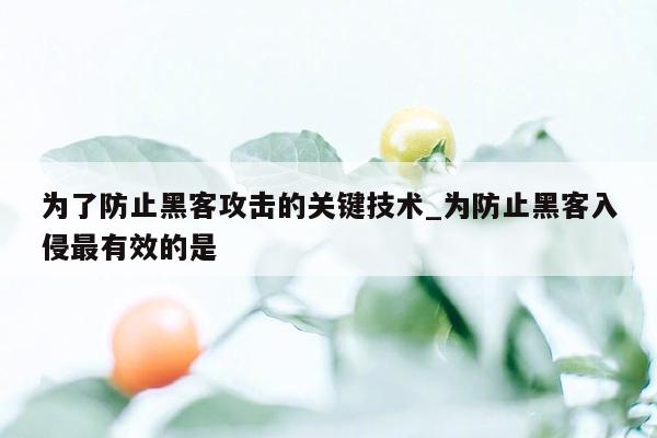 为了防止黑客攻击的关键技术_为防止黑客入侵最有效的是