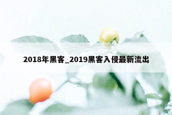 2018年黑客_2019黑客入侵最新流出