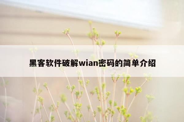 黑客软件破解wian密码的简单介绍