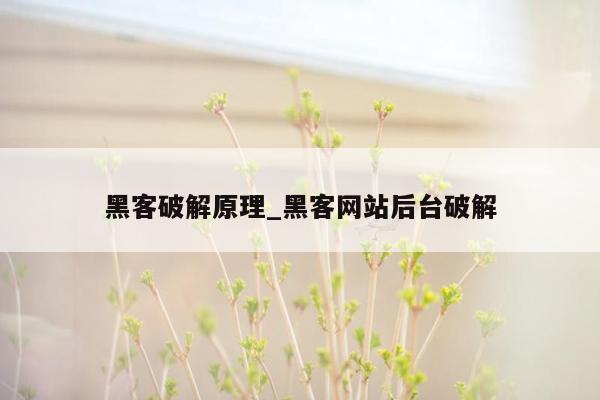 黑客破解原理_黑客网站后台破解