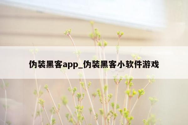 伪装黑客app_伪装黑客小软件游戏