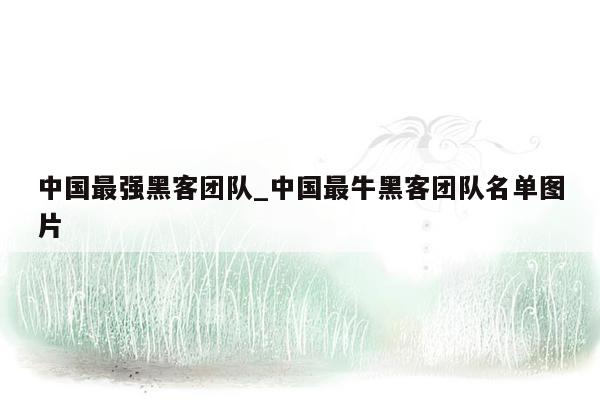 中国最强黑客团队_中国最牛黑客团队名单图片